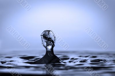 Splash