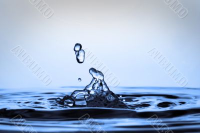 Splash