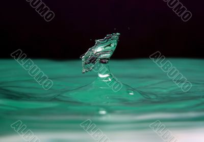 Splash