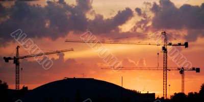 Sunset with Cranes