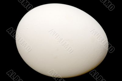 Egg on black