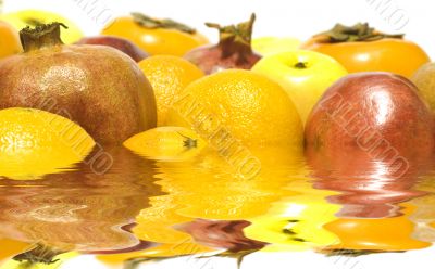 Fruit on white