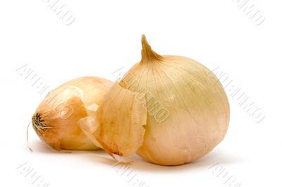 large onion