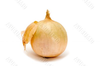 One onion