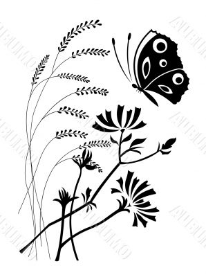 Flowers and the butterfly