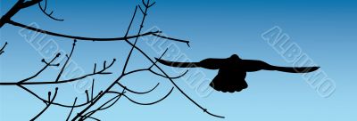The flying bird
