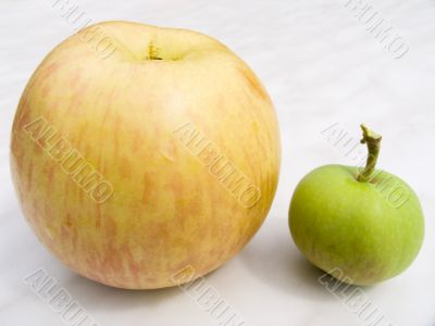 apples