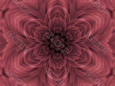 Rose Petals