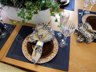 Table Plate Setting