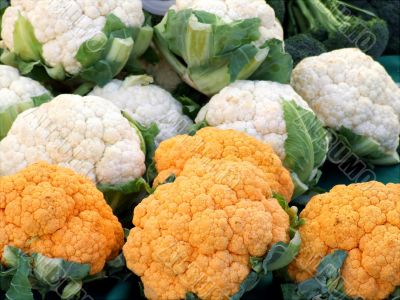 Cheddar and White cauliflower