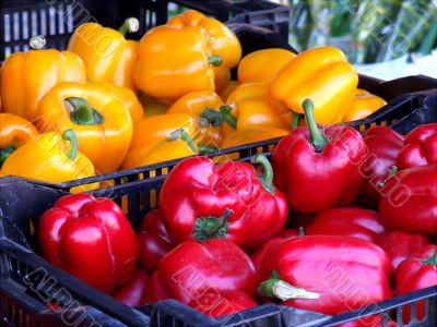 Yellow and Red Bell Peppers