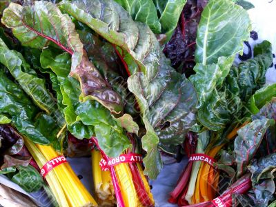 Swiss Chard