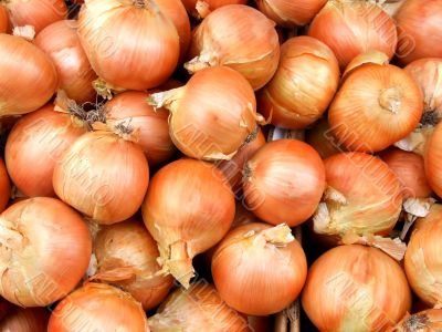 Yellow Onions