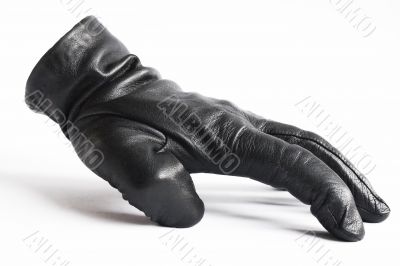 Leather Glove