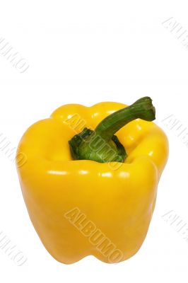 Yellow Pepper w/ Path - Top View