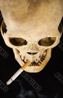 Smoking Kills - Top View