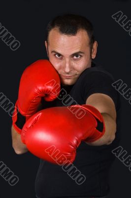 The boxer