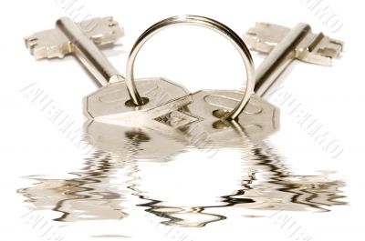 Key with ring