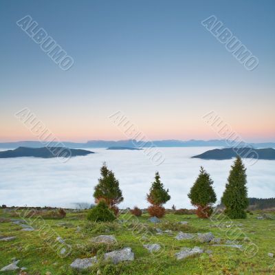 Spring sunrise over the fog