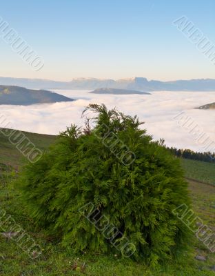 Sunrise over the fog
