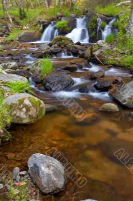 Wild river