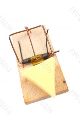 Mousetrap with cheese