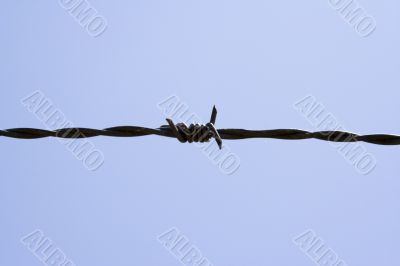 wired sky