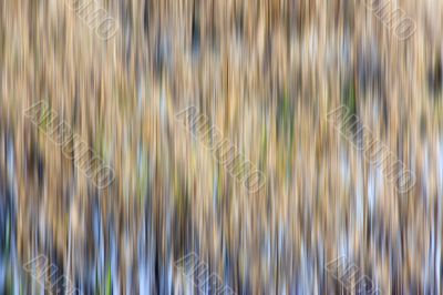 blur back