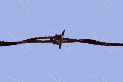 rusty wire