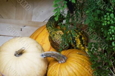 fall time