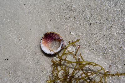 BEACH ABSTRACT