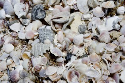 BEACH ABSTRACT