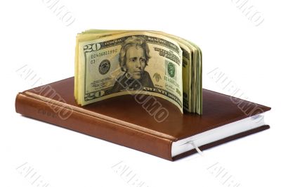 Dollars And Day Planner