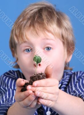 little plant