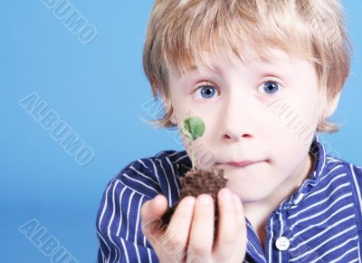 Little Plant