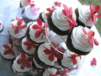 Cup cakes