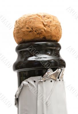 Champagne Cork