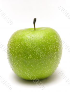 Green Apple w/ Waterdrops