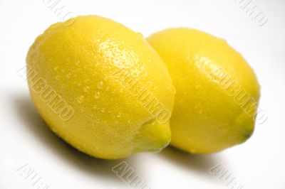 Two Lemons w/ Waterdrops