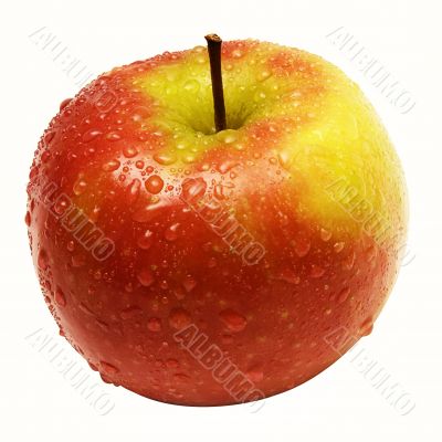 Apple Red-Yellow w / Raindrops - Path Included
