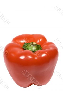 Red Pepper w/ Path