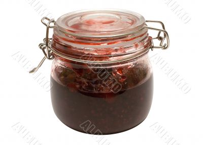 Raspberry Jam w/ Path - Top-Side View