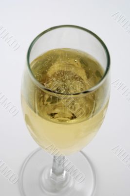 Champagne glass
