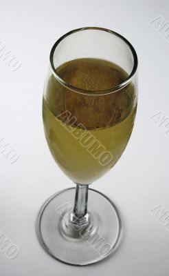 Champagne glass
