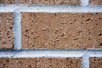 bricks