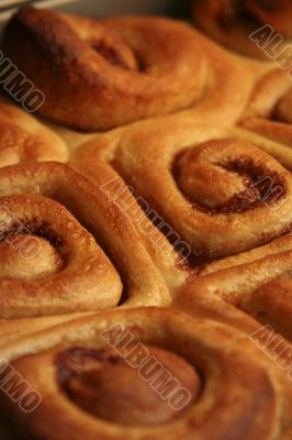 warm Cinnamon Rolls