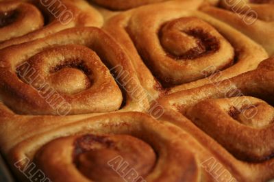 warm Cinnamon Rolls