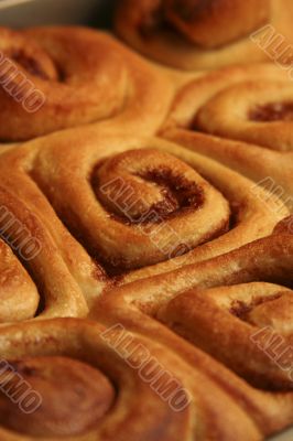 warm Cinnamon Rolls