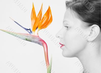profile with flower