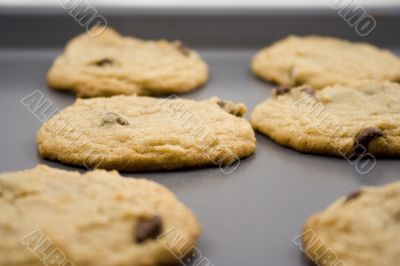 chocolate chip cookies hot to go